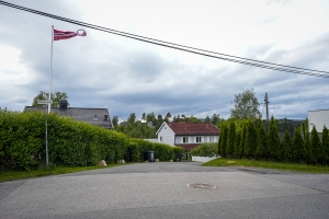 Har du en av disse 7 plantene? Da kan hagen din bli en brannfelle