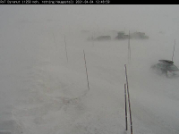 Slik så det ut på riksvei 7 over Hardangervidda ved 13-tiden søndag ettermiddag. Strekningen er inntil videre stengt for all trafikk.